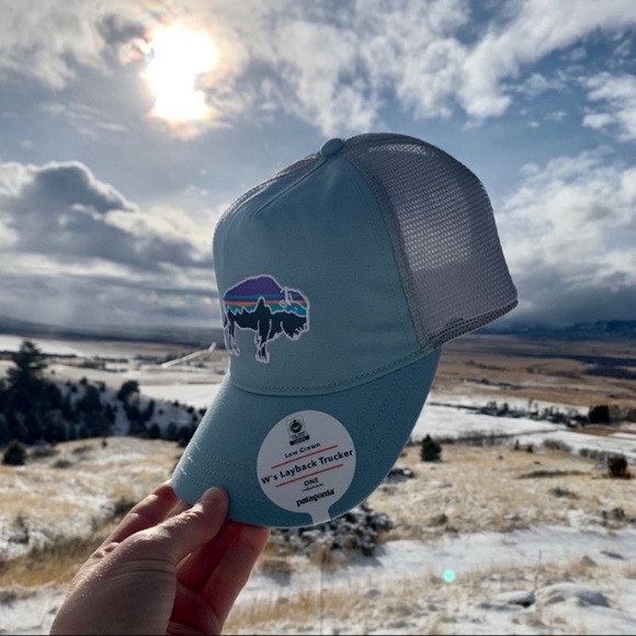 1 Left! NWT Patagonia Women's Bison Trucker Hat - Picture 2 of 4
